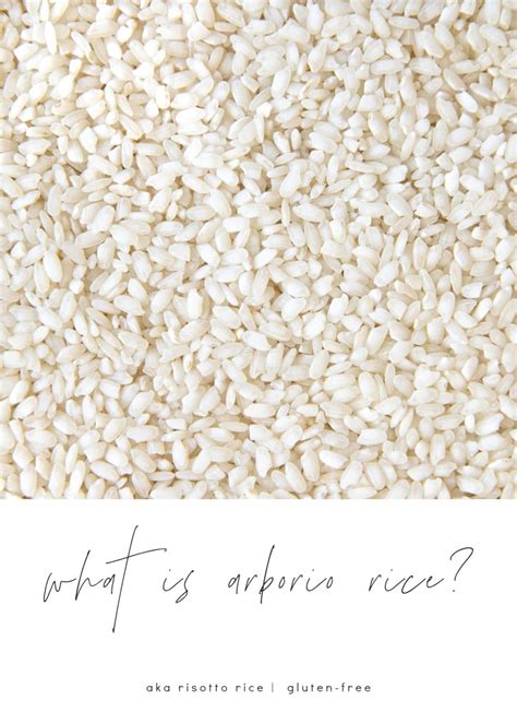 What is Arborio Rice? - The Forked Spoon