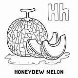 Premium Vector  Alphabet Fruit honeydew melon For coloring With Word sketch template