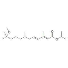 Methoprene | C19H34O3 | 679075 | 40596-69-8