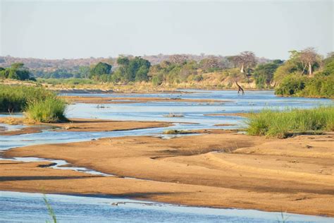 Inside Tanzania’s Ruaha National Park • Your Ultimate Safari Guide ...