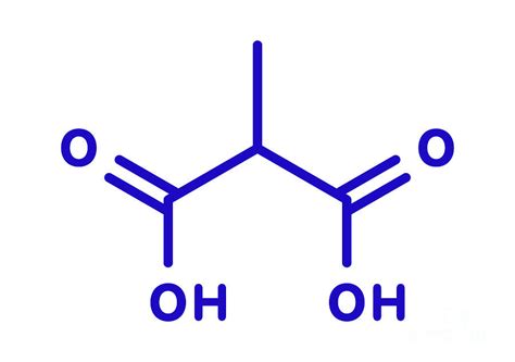 Methylmalonic Acid Molecule Photograph by Molekuul/science Photo Library - Fine Art America