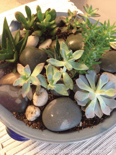 Easy Indoor Succulent Rock Garden - Houseful of Handmade