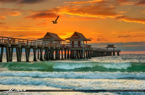 Seagull Flying Over Naples Pier at Sunset | HDR Photography by Captain Kimo