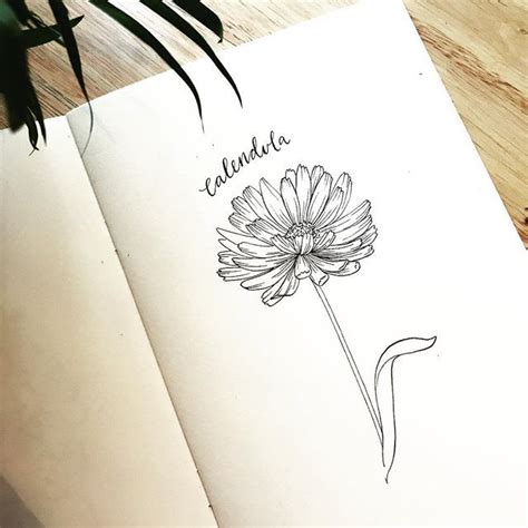 5. Calendula October | Flower tattoo designs, Line drawing tattoos, Birth flower tattoos