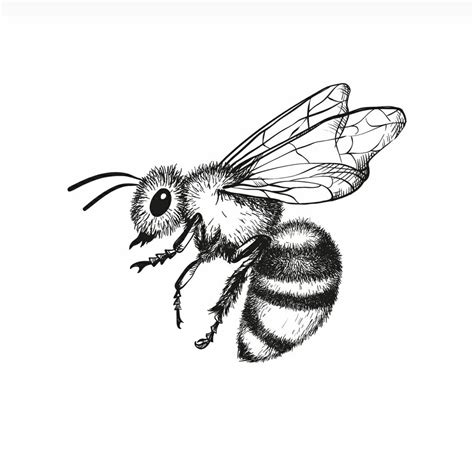 Honeybee tattoo | Honey bee tattoo, Vintage bee tattoo, Insect tattoo