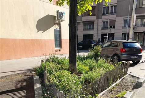 Les arbres de pluie de la métropole de Lyon