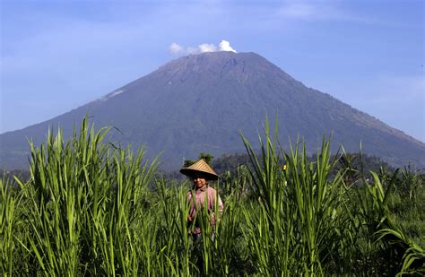 Bali volcano's alert status lowered after decreased activity - The Garden Island