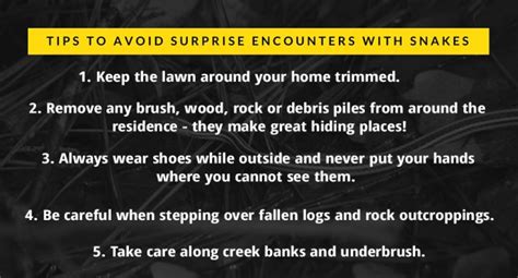 Snakes: Safety Tips to Remember | The Woodlands Township Environmental Services