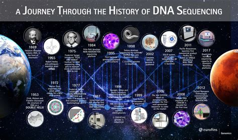 Discovery Of Dna Genetics Timeline Poster