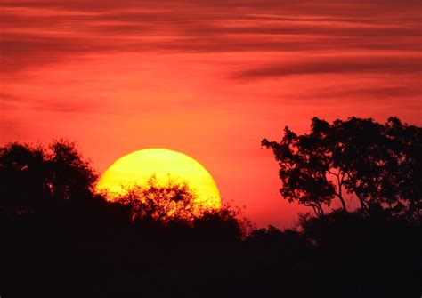 Sunset, the pantanal wetlands, Brazil – f4 Inspirational Images