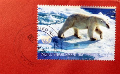 Mail Adventures: Polar Bears & More Winter Scenes