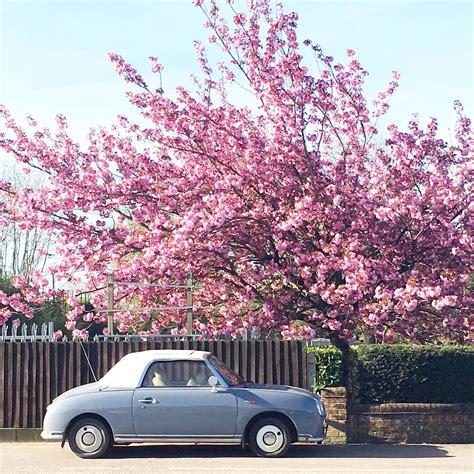 Cool car! Nissan Figaro and pink blossom Retro Cars, Vintage Cars, Nissan Figaro, Pink Range ...