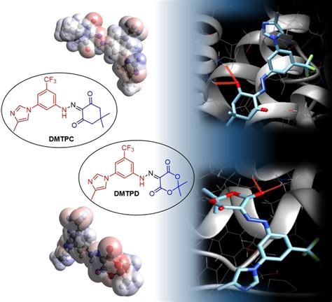 Exploring the Potential of Azo Compounds in Leukemia Treatment: Synthesis and Characterization ...