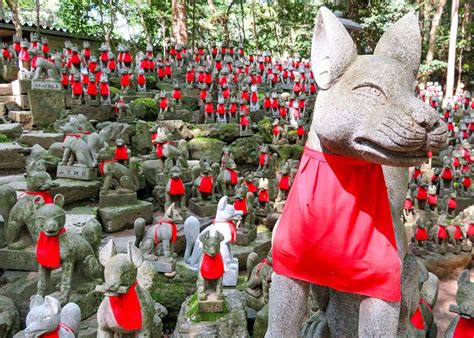 6 Things You Should Know About the Inari Fox in Japanese Folklore