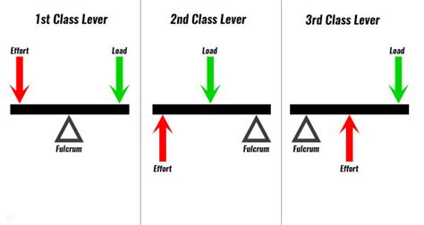 PE AQA Levers. Diagram | Quizlet