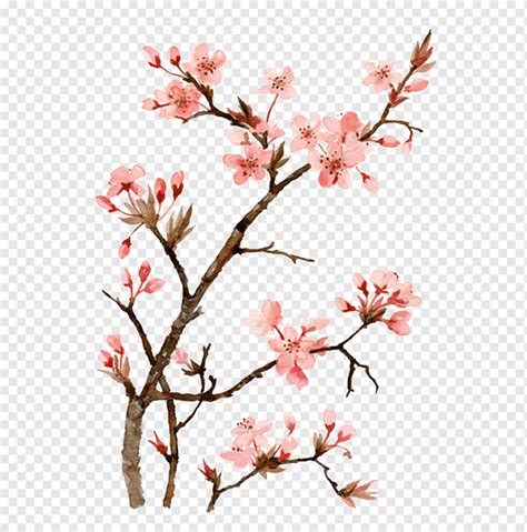 Cherry Blossom Tree Drawing Watercolor Painting - Meticulous painting ...