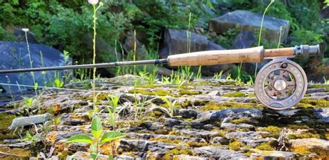 15 Best Fly Rods For Trout 2024: Best For All Budgets