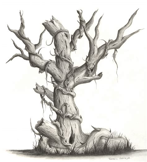 Dead Tree Pencil by fatherofkiera on DeviantArt