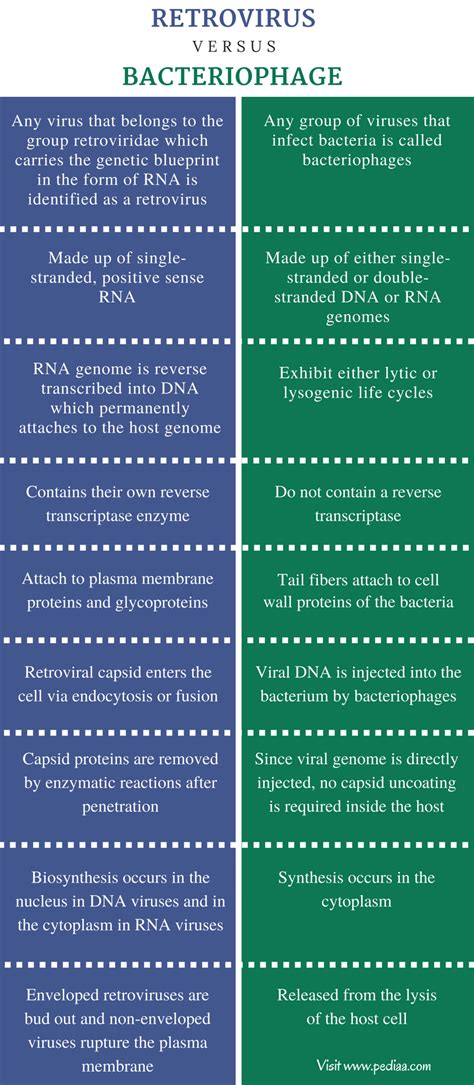 Difference Between Retrovirus and Bacteriophage | Definition ...