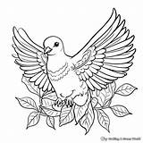 Peace Dove Coloring Pages  Free & Printable sketch template