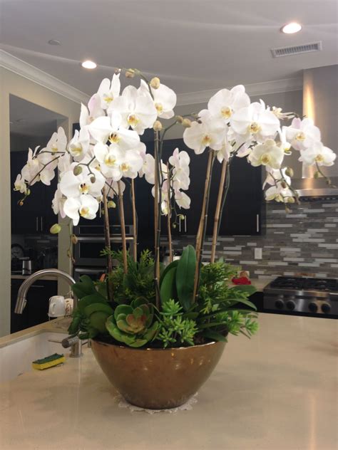 Pin by Janet Choe on Orchid plant design | Orchid flower arrangements ...