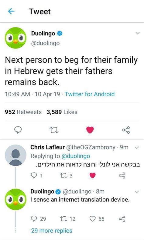 Duolingo Memes Family