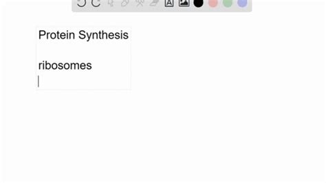 ⏩SOLVED:At what locations in a eukaryotic cell does protein… | Numerade