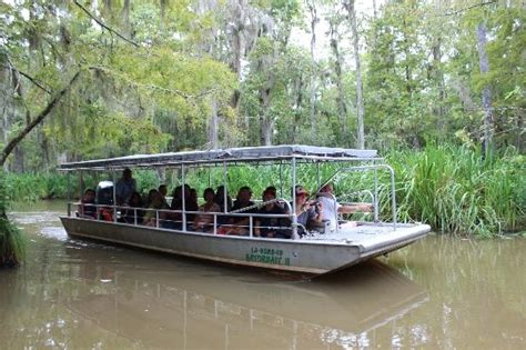 New Orleans - Swamp Tour. The boats that Cajun Encounters use for their ...