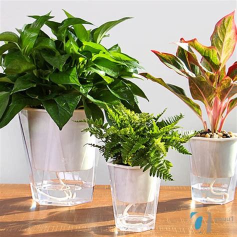 The 7 Best Self-watering Pots for Your Indoor Plants - Out of Town Blog