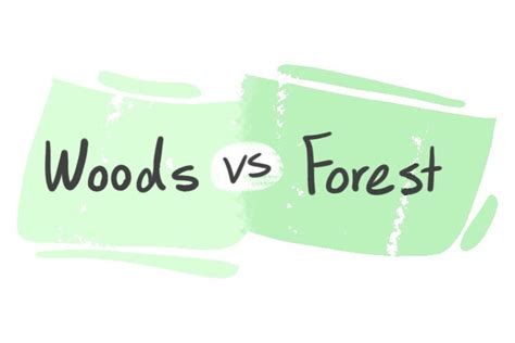 "Woods" vs. "Forest" in English | LanGeek