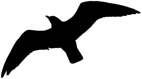 Bird Flight Silhouette at GetDrawings | Free download