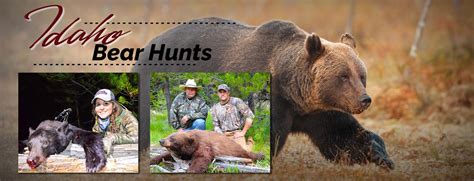 Idaho Black Bear Hunts | Bear Hunting Guide Idaho - Redbone Outfitting