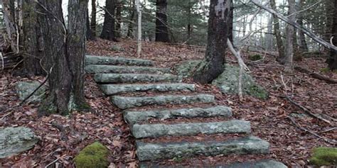 Stairs In The Woods Phenomenon Explained With Details & List