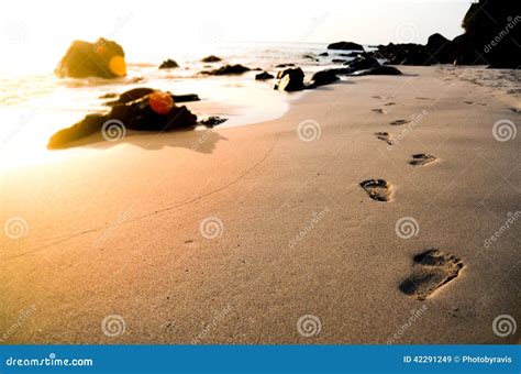 Footprints On The Beach Stock Photo - Image: 42291249