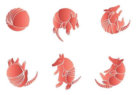 Armadillo Vector Art, Icons, and Graphics for Free Download