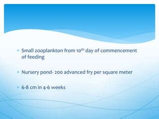 Giant gourami breeding | PPT