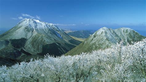 Mt. Tsurumi: Witness the Season’s Beauties on Beppu’s Famous Mountain