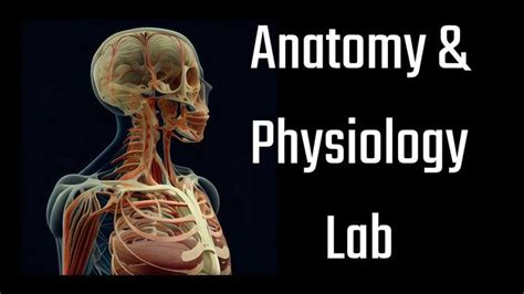 Anatomy & Physiology Lab : r/applab