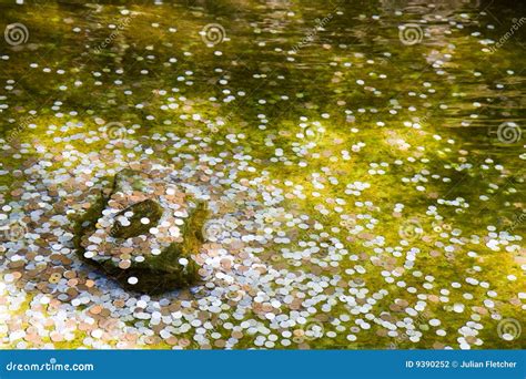 Coins In A Wishing Well In Kyoto Stock Photo | CartoonDealer.com #9390252