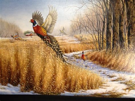 Pheasant Hunting Wallpaper - WallpaperSafari