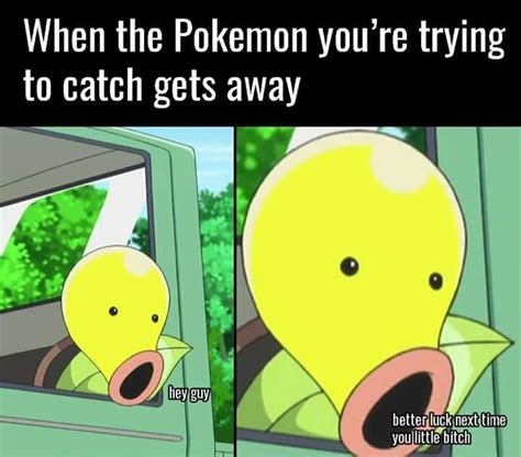 Pokemon go memes | Pokémon Amino