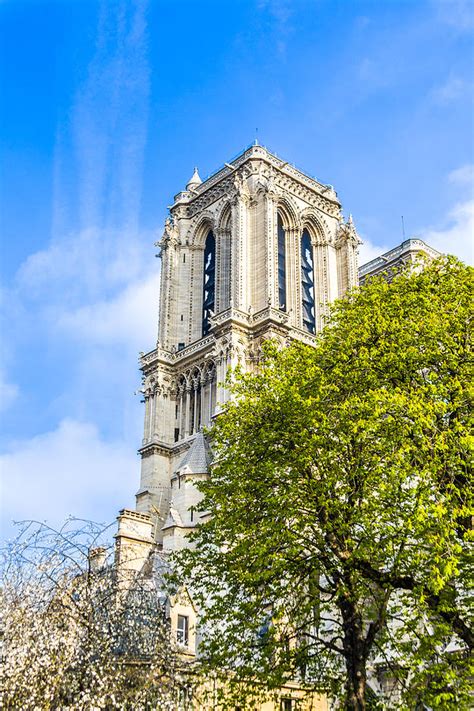 Notre Dame Bell Tower Photograph by Nila Newsom