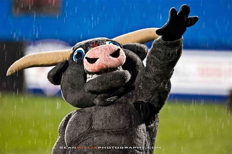 FC Dallas Mascot | Sean Willis | Flickr