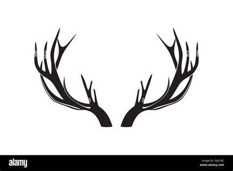 Deer antlers or horns vector illustration Stock Vector Image & Art - Alamy