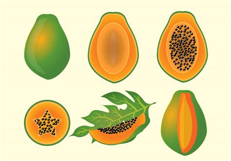 Papaya Fruit Vectro 110941 Vector Art at Vecteezy