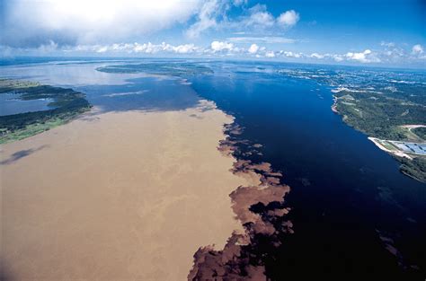 Meeting of the waters, Amazon, Brazil. : pics