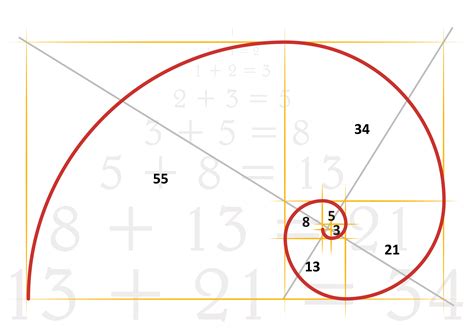 Fibonacci number sequence in nature - executiveshery