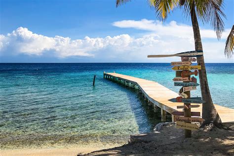 Scuba diving in Utila | ZuBlu