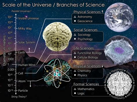 Branches of Science : Physical, Social, Life and Formal. | Branches of ...