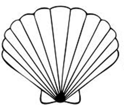 Seashell Drawings - ClipArt Best